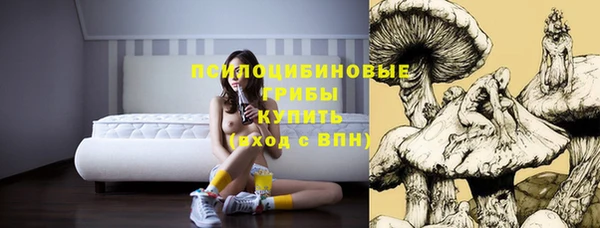 прущий лед Балахна