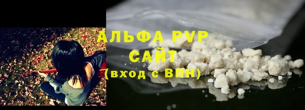 гашик Осинники